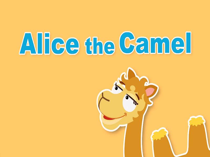 Alice the Camel