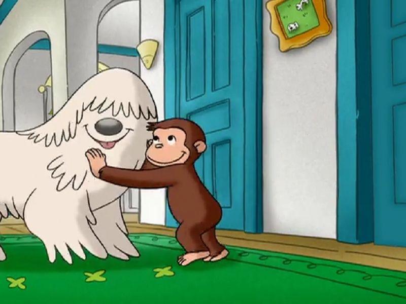 Curious George S01E17 Dog Counter