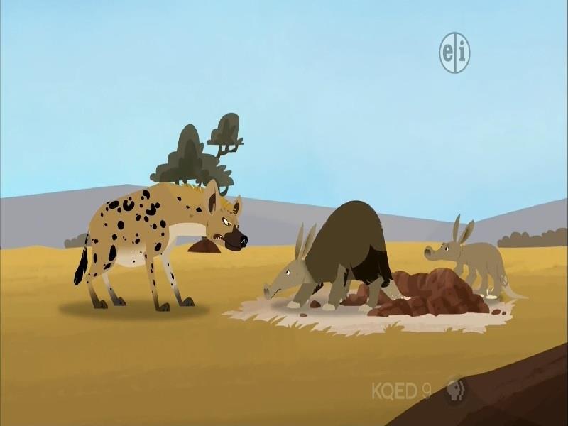 Aardvark Town