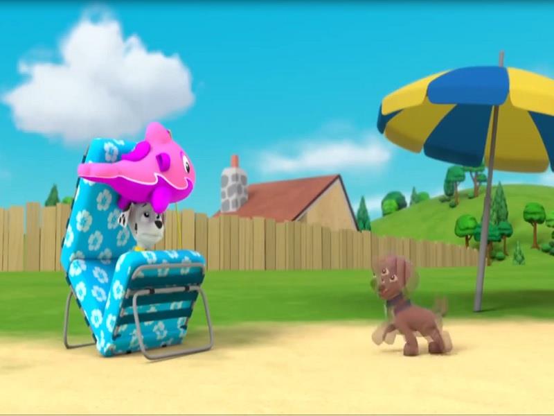 S02E02 Pups Save a Dolphin Pup