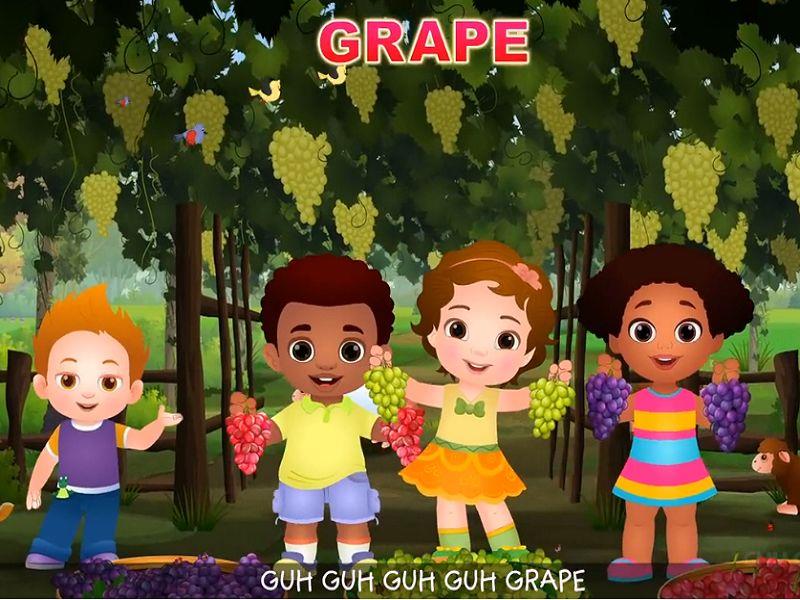Grape Fruits