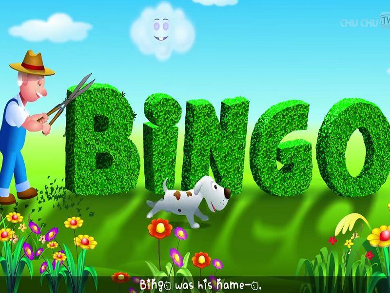 BINGO