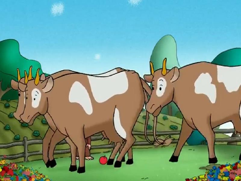 S01E47 Keep Out Cows