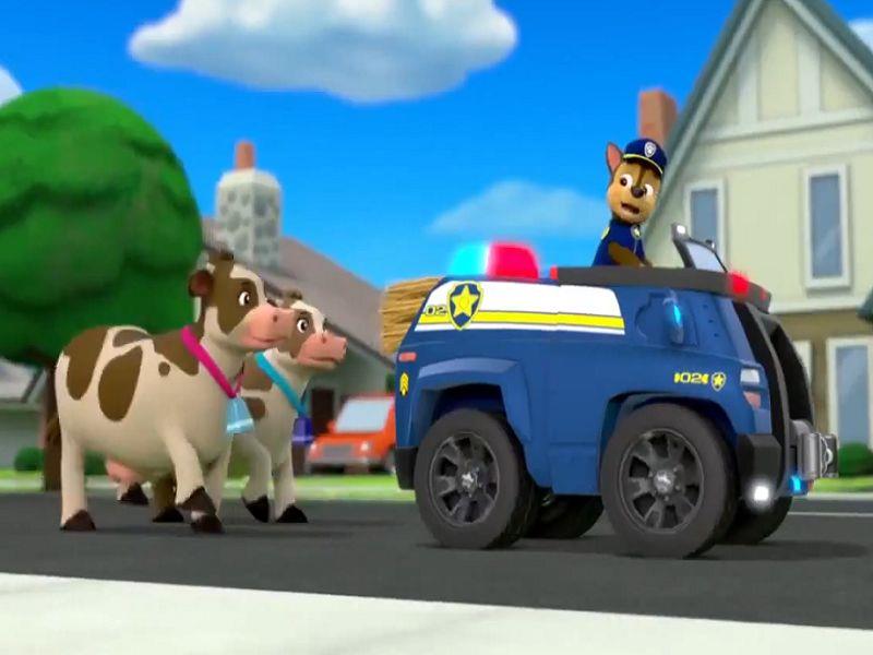 Pups Save a Hoedown