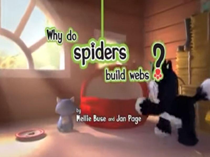 Spiders