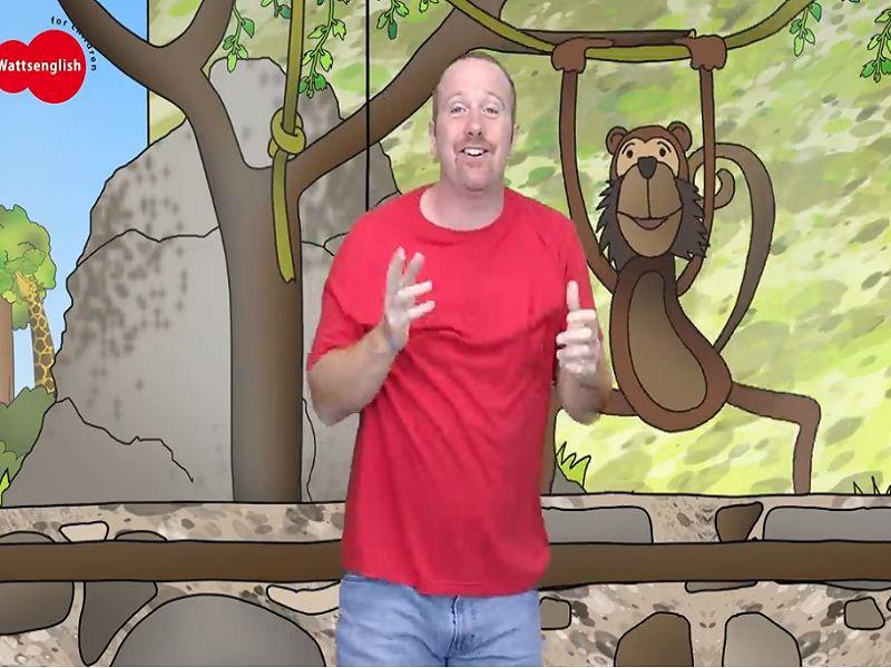 Animals zoo
