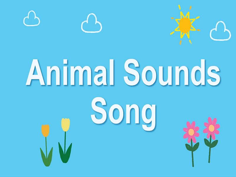 Animal Sounds