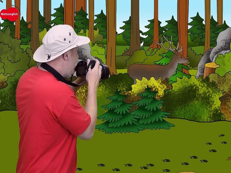 Wild Animals 2