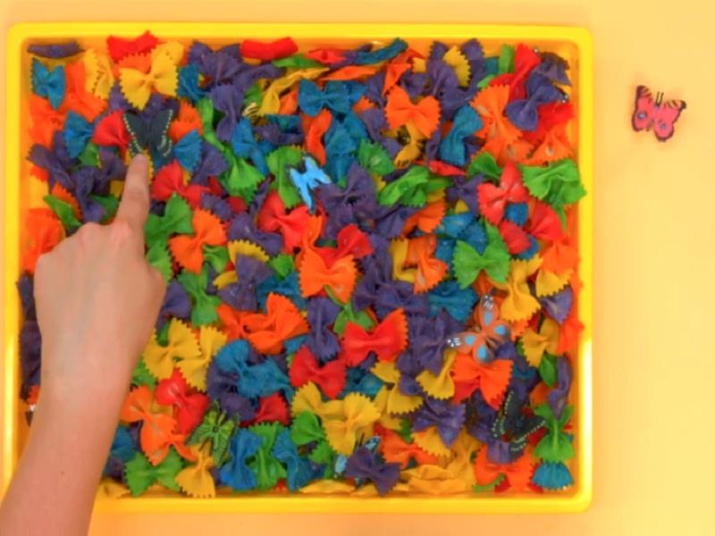 Find The Matching Butterflies
