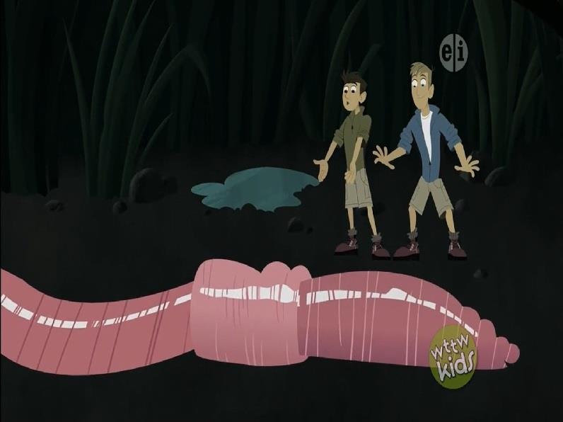 Mystery of the Squirmy
