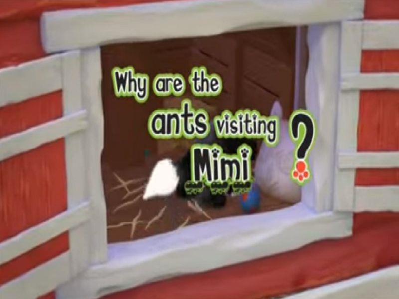 Ants
