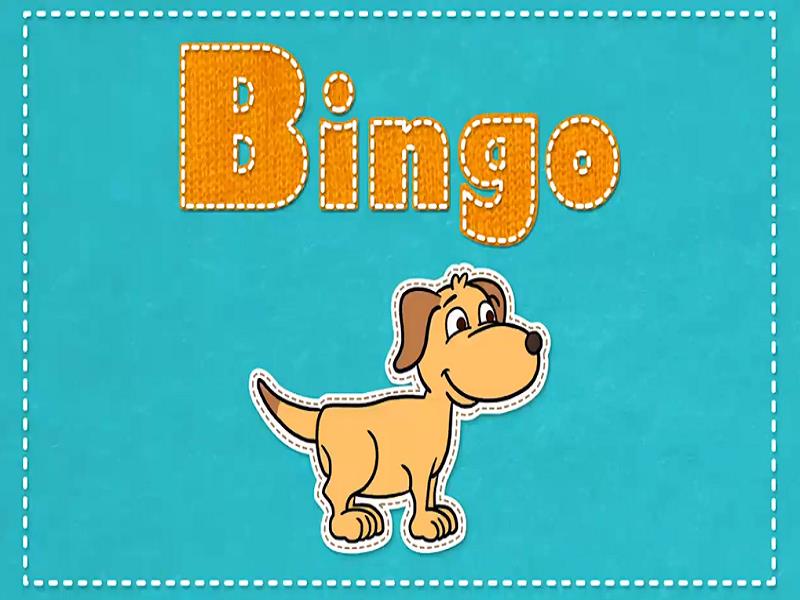 Bingo-1