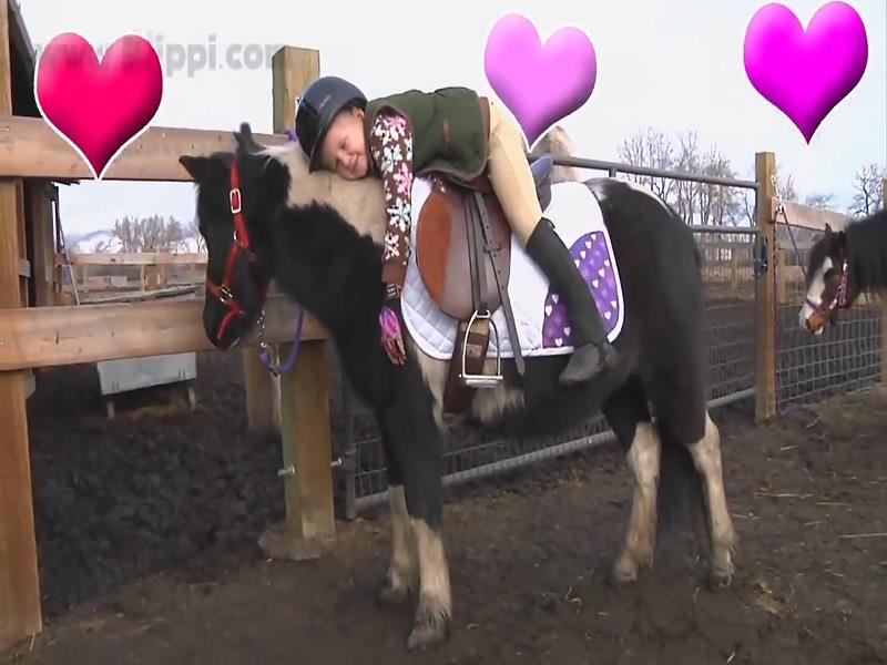 Horses Song