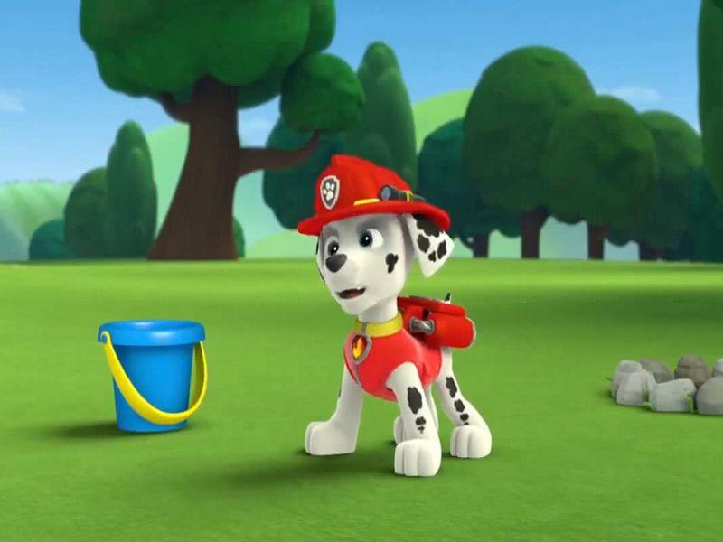 Pups Fight Fire