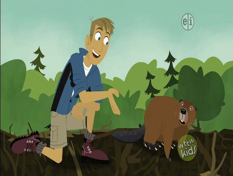 Wild Kratts  برادران کرات