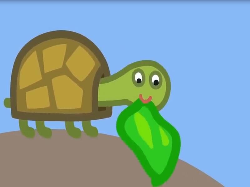 S05E17 The Zoo
