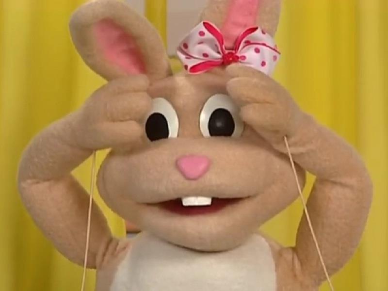 16 Where Is Bunny