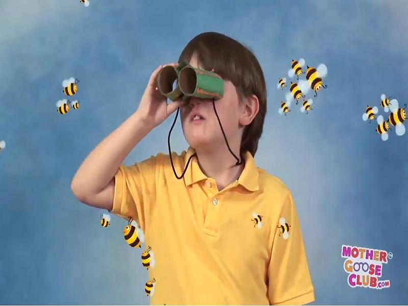 Bees