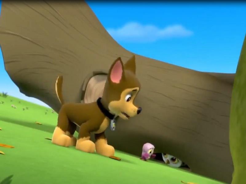 S01E36 Pups Save a Hoot