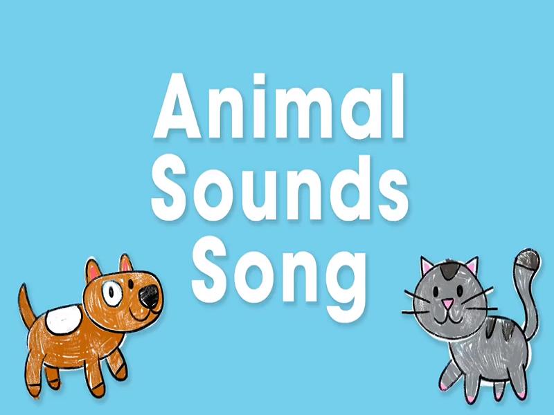 Animal Sound