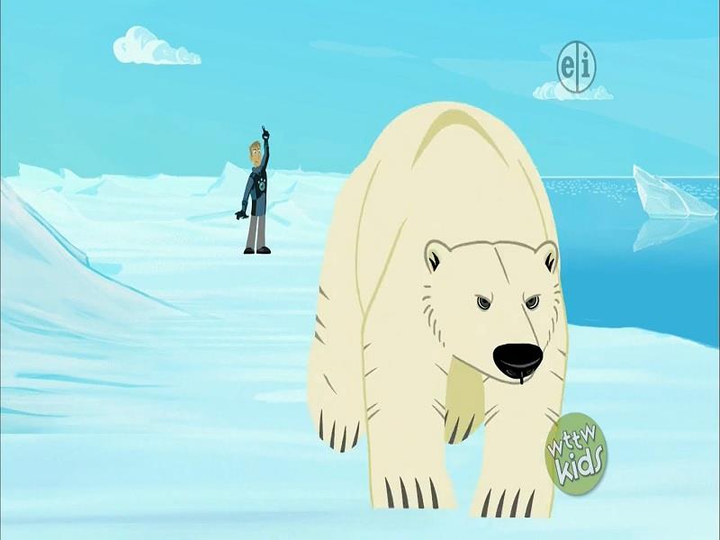 Polar Beras Dont Dance