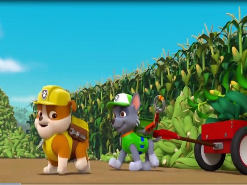 S02E19 Pups Save the Corn Roast